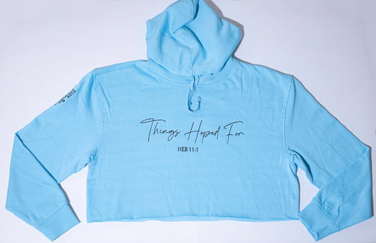 BABY BLUE CROPPED HOODIE